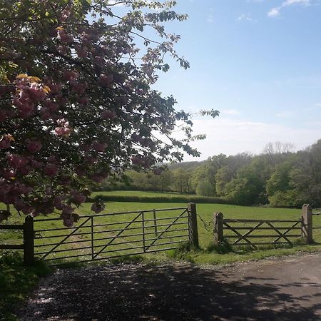 Moaps Farm B&B Support Small Business, Welcome, Check In From 5 Pm Danehill Bagian luar foto