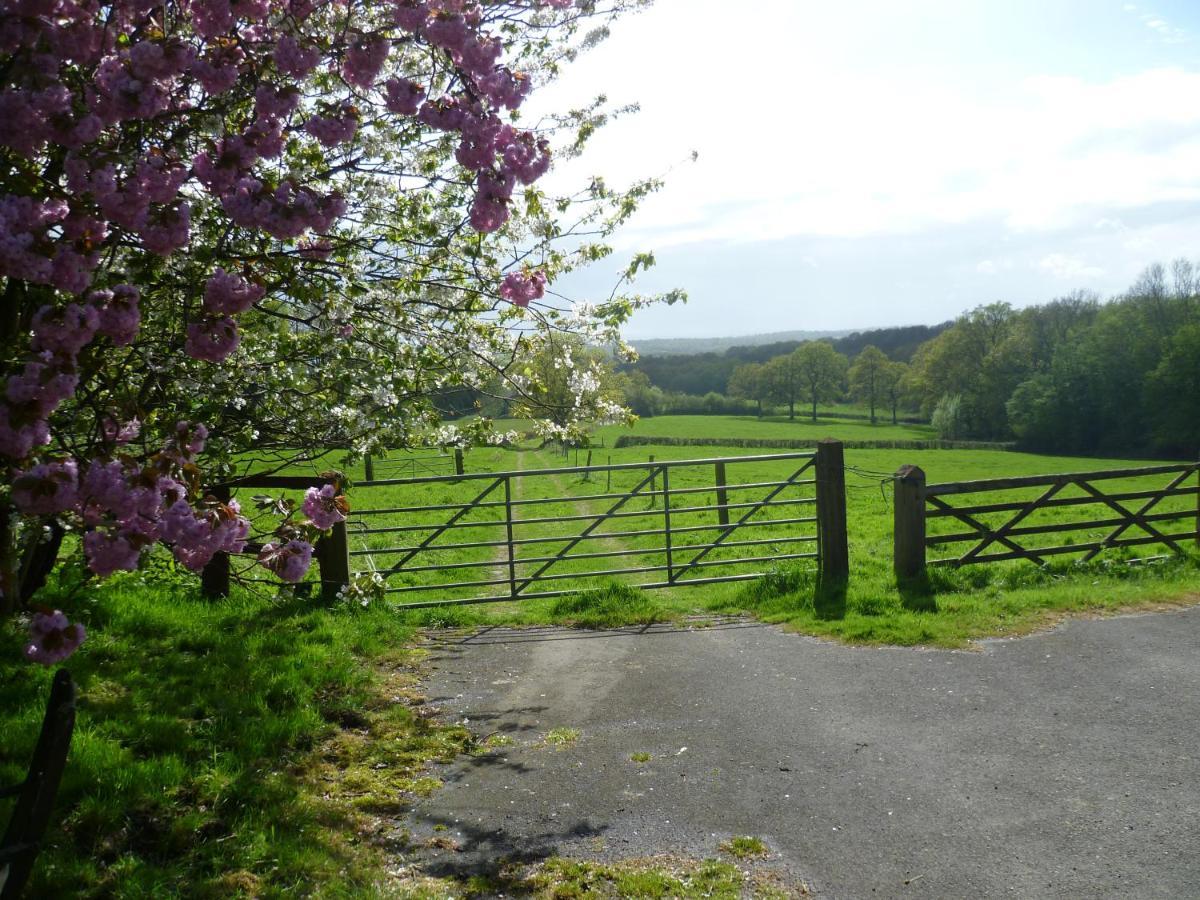 Moaps Farm B&B Support Small Business, Welcome, Check In From 5 Pm Danehill Bagian luar foto