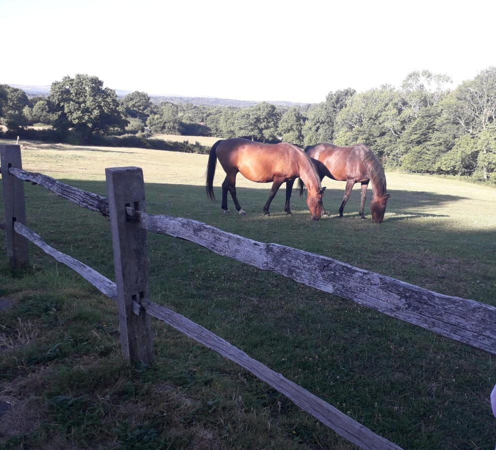 Moaps Farm B&B Support Small Business, Welcome, Check In From 5 Pm Danehill Bagian luar foto