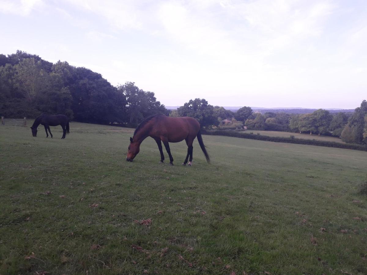 Moaps Farm B&B Support Small Business, Welcome, Check In From 5 Pm Danehill Bagian luar foto
