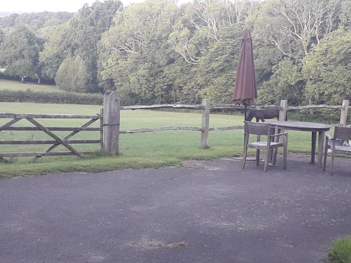 Moaps Farm B&B Support Small Business, Welcome, Check In From 5 Pm Danehill Bagian luar foto