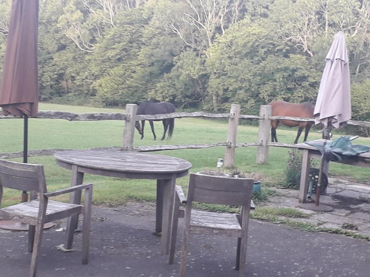Moaps Farm B&B Support Small Business, Welcome, Check In From 5 Pm Danehill Bagian luar foto