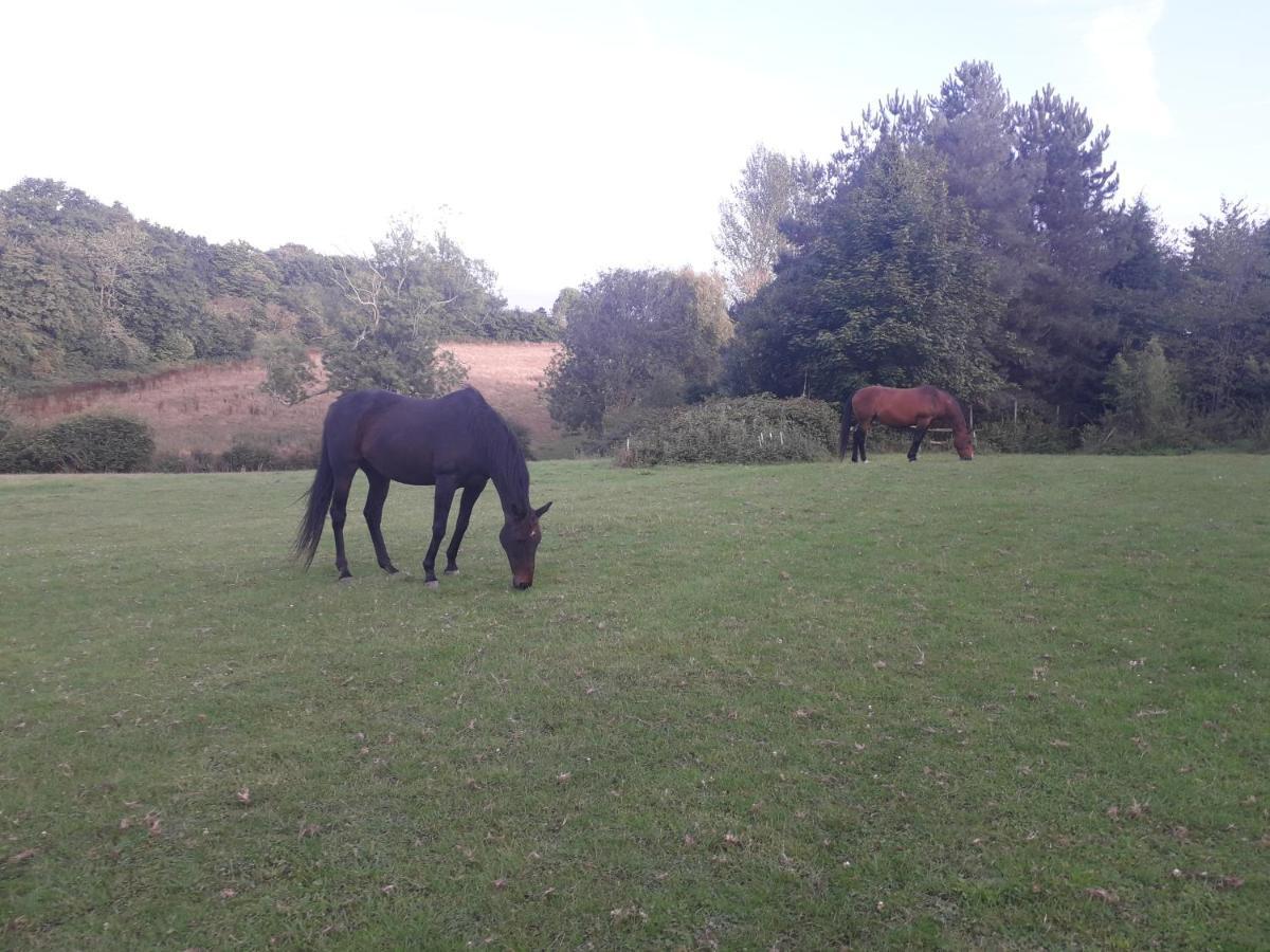 Moaps Farm B&B Support Small Business, Welcome, Check In From 5 Pm Danehill Bagian luar foto