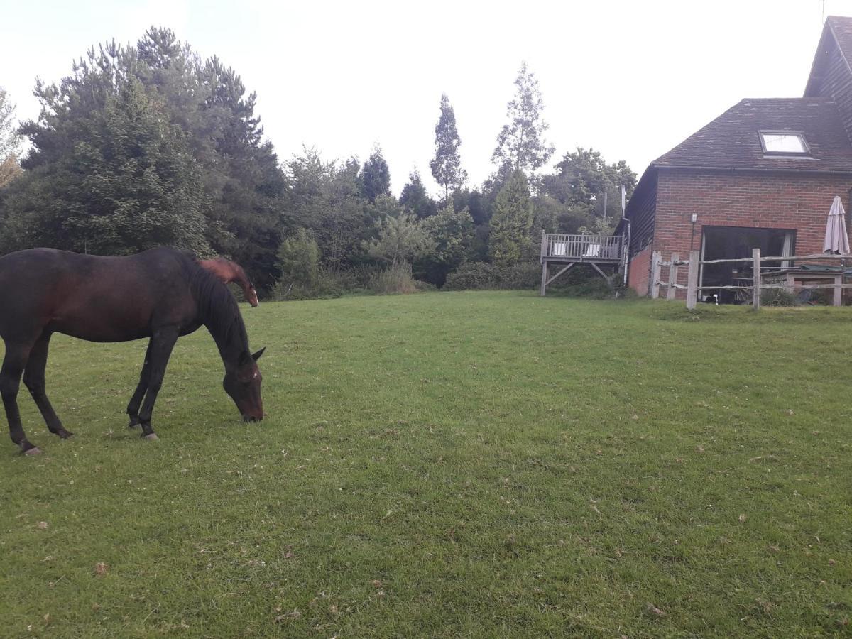 Moaps Farm B&B Support Small Business, Welcome, Check In From 5 Pm Danehill Bagian luar foto