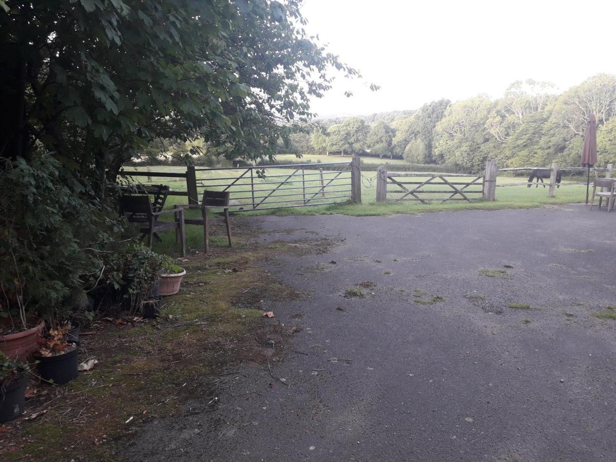 Moaps Farm B&B Support Small Business, Welcome, Check In From 5 Pm Danehill Bagian luar foto