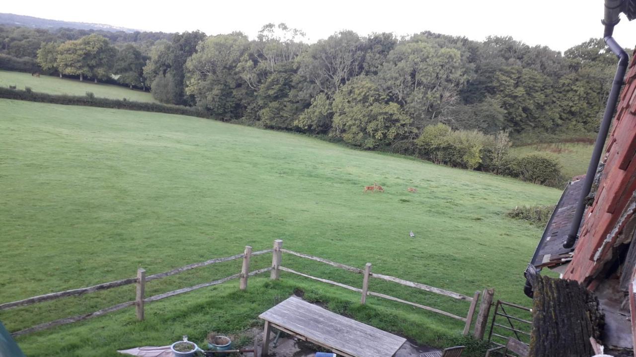 Moaps Farm B&B Support Small Business, Welcome, Check In From 5 Pm Danehill Bagian luar foto